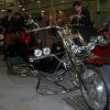 Moto-expo_w_naturze_15