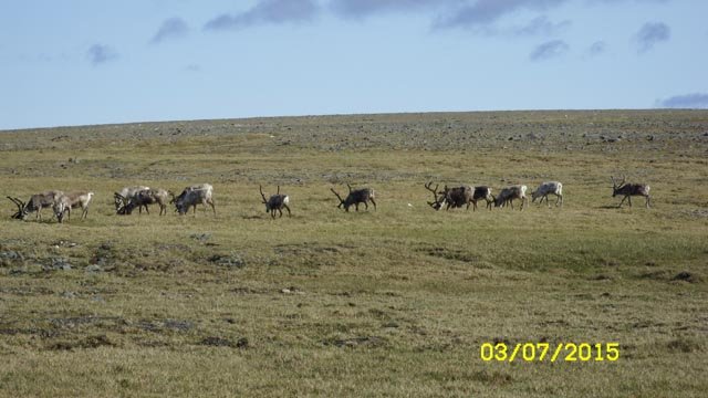 nordkapp_014